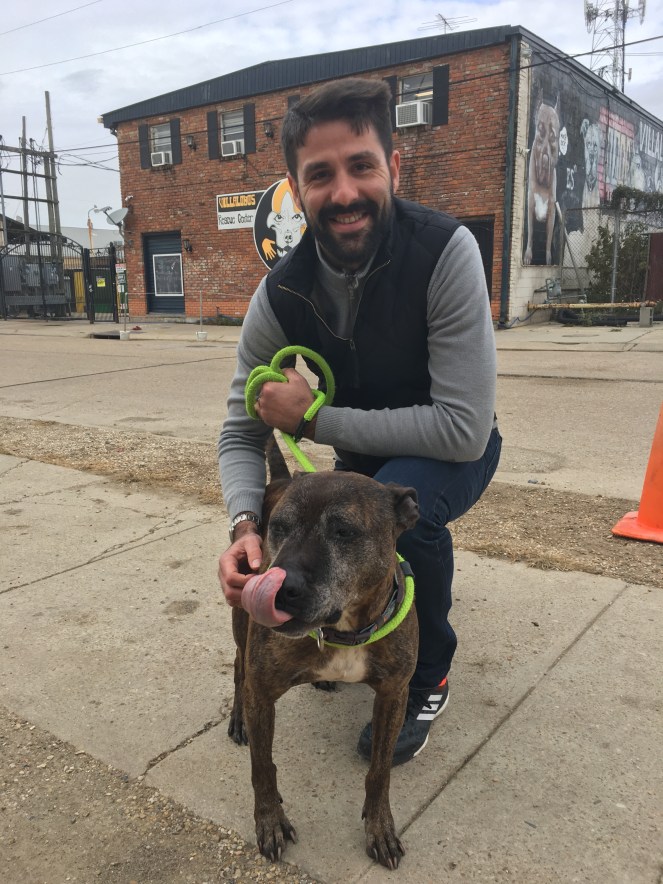 B37B8D4F-7ED8-4ECB-9203-F9F91A8C8C9B