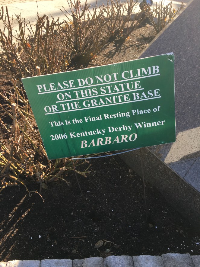 0F381678-49EC-4CAE-965C-AA5E434BCECF