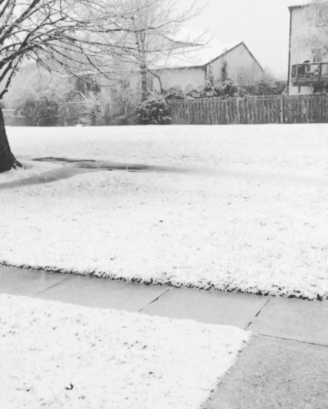 6A81FBCF-7602-4DD6-8B37-A18AB545BB9B