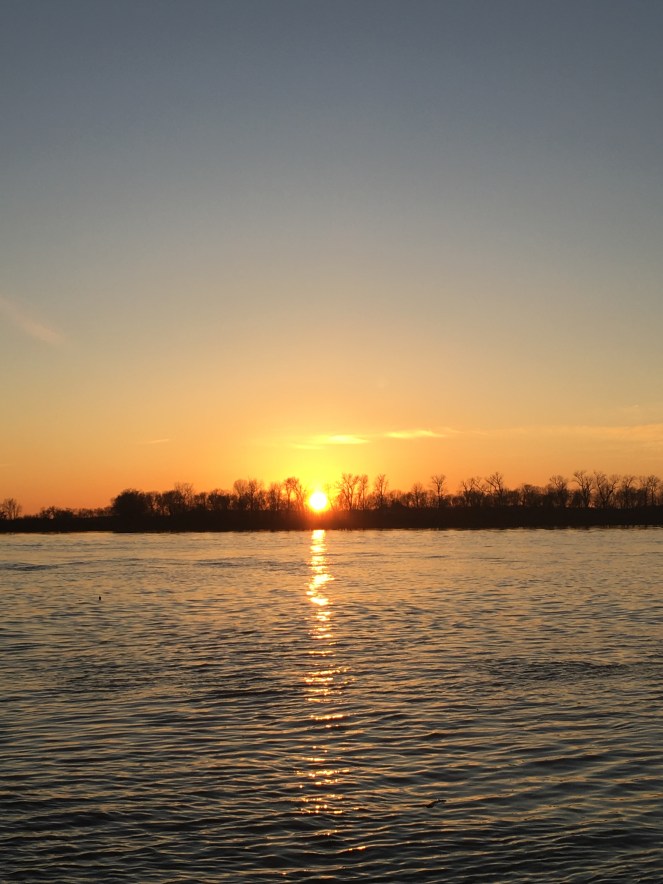 7B51F0AD-B784-4505-9A16-D0AD06EF5B27