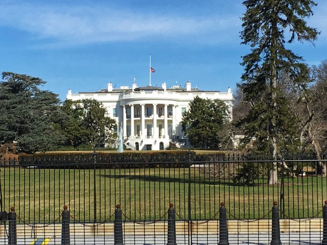 972DBB08-394E-4AD7-9FC0-A38DEDF21E95