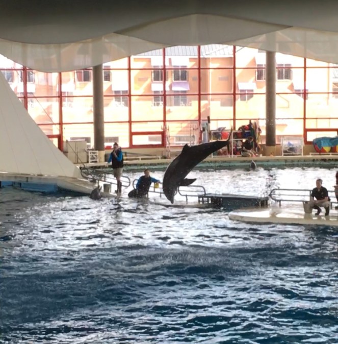 9DE7F9E6-4386-46FA-B72D-218CE8BD2BC6