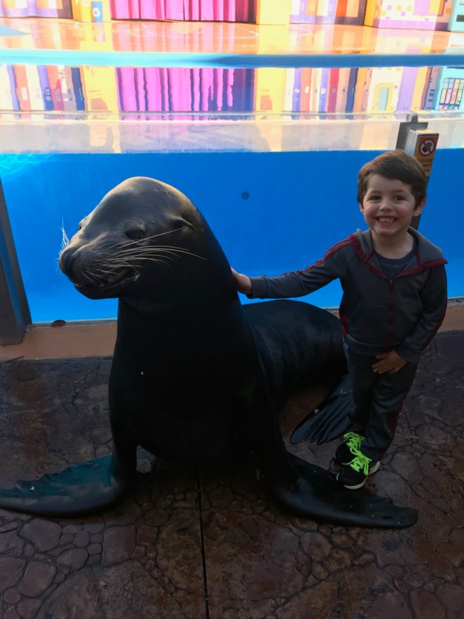 12DF3096-640D-496B-B10D-2774A632C598