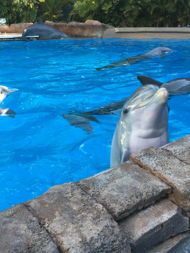 13DF0498-CC32-48E7-BA21-B7958865EF2E