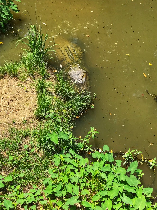 1FA79F8B-9F23-4D53-A02E-228DE579A0D2