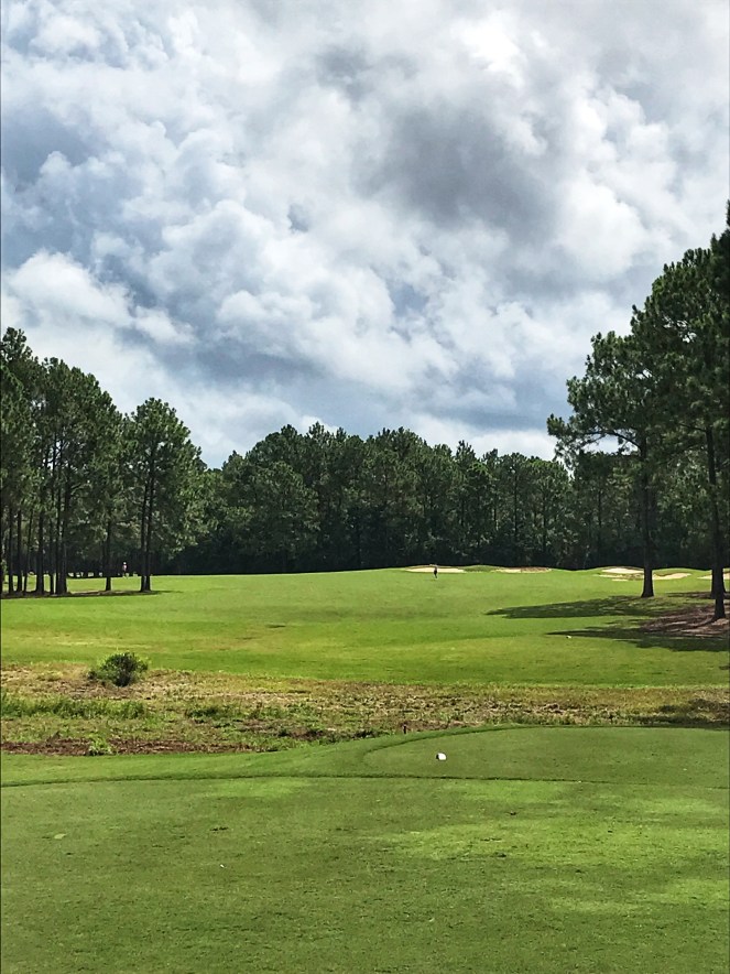 6179CABF-74C8-4D2E-BE67-135E30ECA568