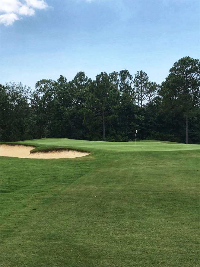 F762A507-4563-4BEE-AE5B-8B1D8F4559F5