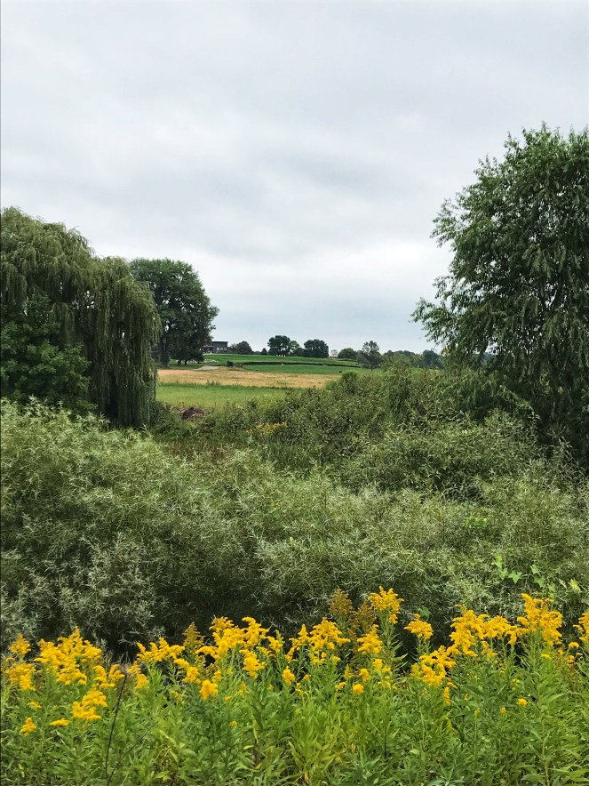 0E1B0A85-6832-447C-83D1-86D5CA6988CA