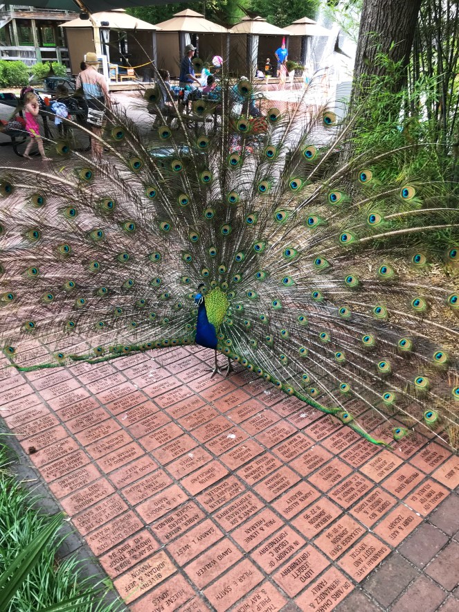 25756780-5BC9-4A87-B842-D7CF69935842