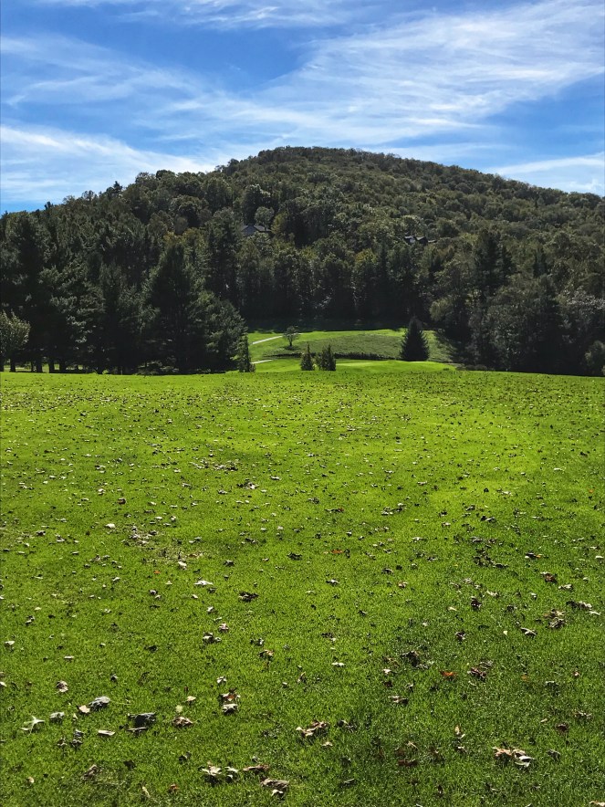 53E9FCE1-1FDB-4E31-AF2A-954450DC79A8