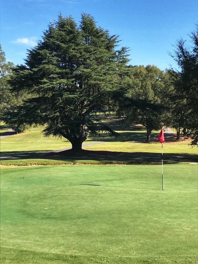 FA9DC614-45FE-40D8-B42B-C4389D03893E