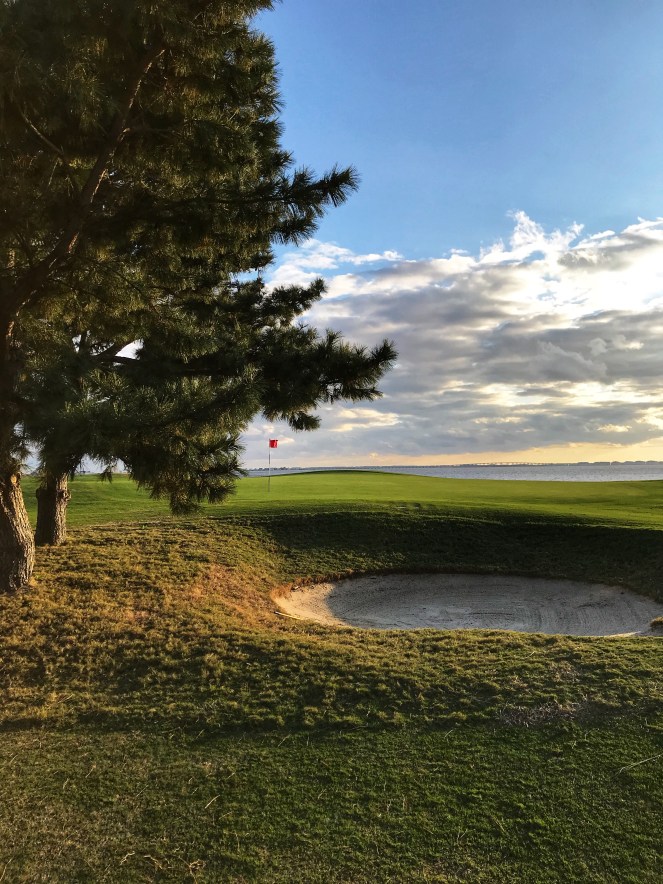 C6E7C920-794C-485D-8848-468271580A06