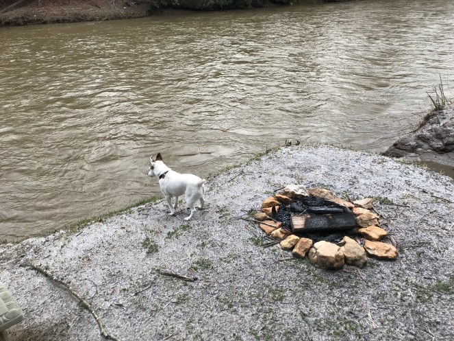 6ba50f9d-028f-493b-b0e3-99ecbcac5ccd