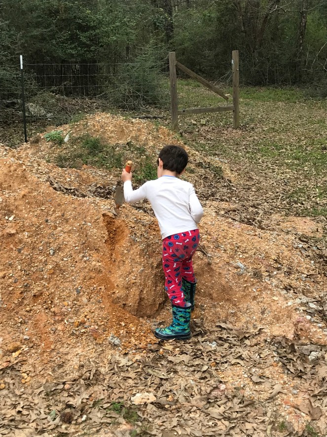 D56E02CA-4C6F-46D2-A5C5-4EB3BC536A10