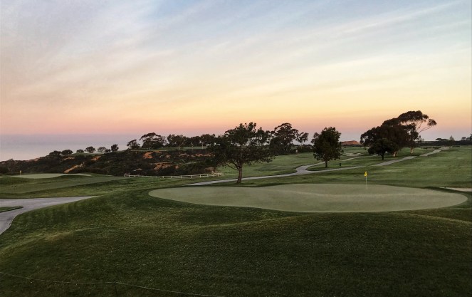 E249F01D-2776-43BF-8196-42F35ED91691