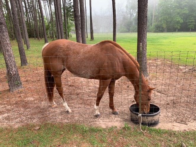 9E573FC9-D6A6-4775-80E3-3C019DEA0689