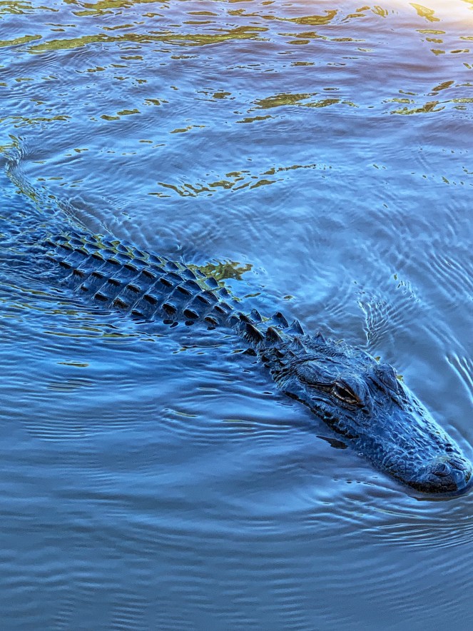 9EE6B5B0-D27E-461E-9615-C7CF3C903F9C