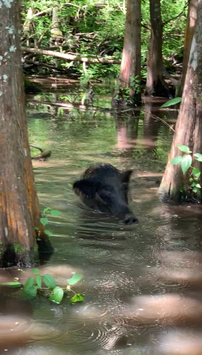 DB392317-335E-46AA-B6CC-FED99E712A90