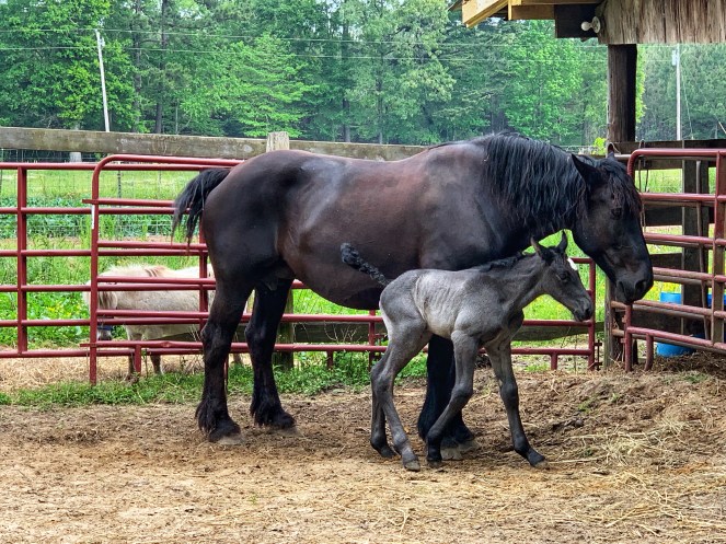 989E7267-1FE9-4C80-B153-2ADA9C81EE12