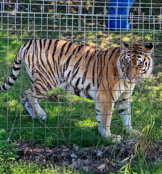 5F656E4A-DAA1-4874-9FF0-C46894C65327