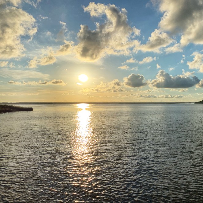 E1040F61-A37E-4068-BE76-BC9AC48550FF