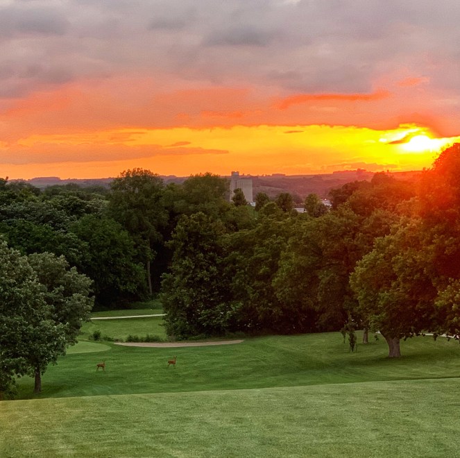 F2A1BA7D-5C2D-4C3C-A339-417F224683B9